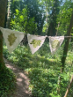 Flag printing