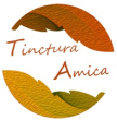 Logo V2.2 081024 clipped background