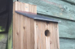 birdbox