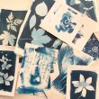 cyanotype flowers